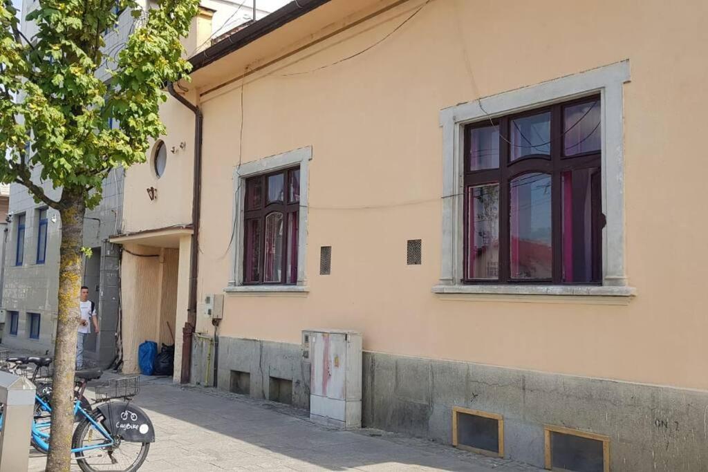 Josephine Central Villa & Garden Cluj-Napoca Exterior photo